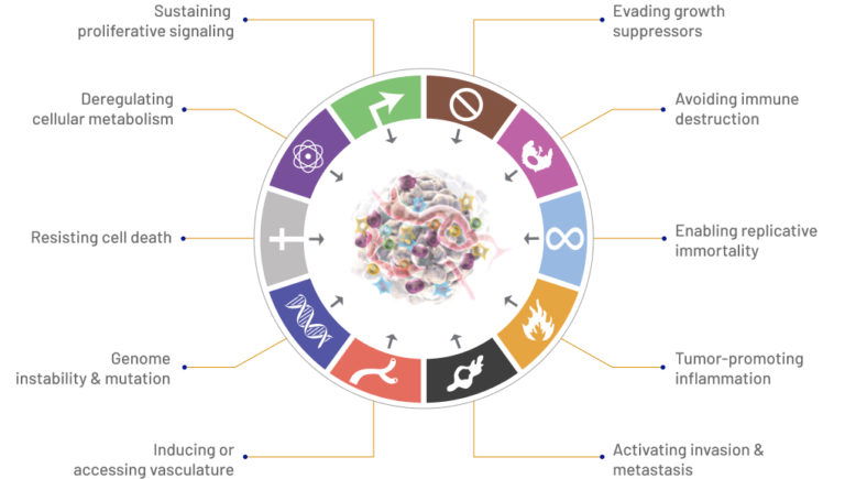 Aurigene Oncology: Our Science: Cancer Research