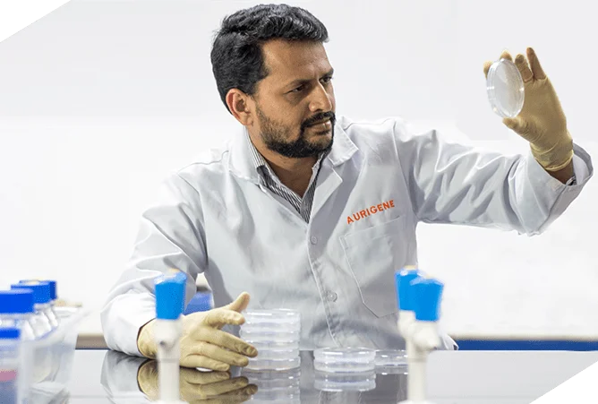 biotech and pharma companies in Bangalore